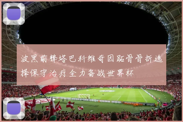 波黑前锋塔巴科维奇因跖骨骨折选择保守治疗全力备战世界杯