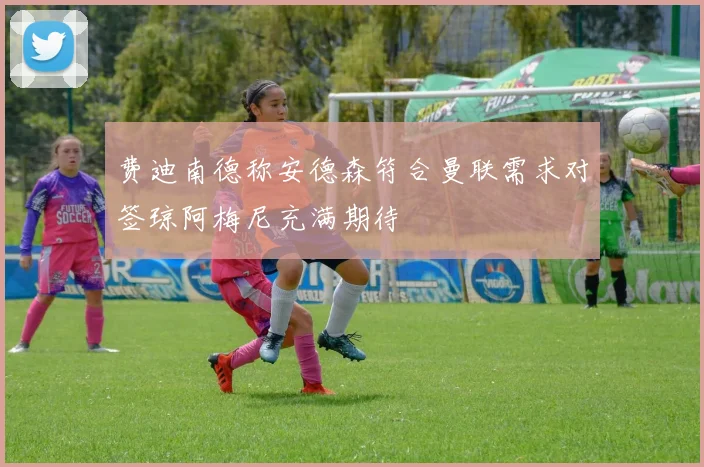 费迪南德称安德森符合曼联需求对签琼阿梅尼充满期待